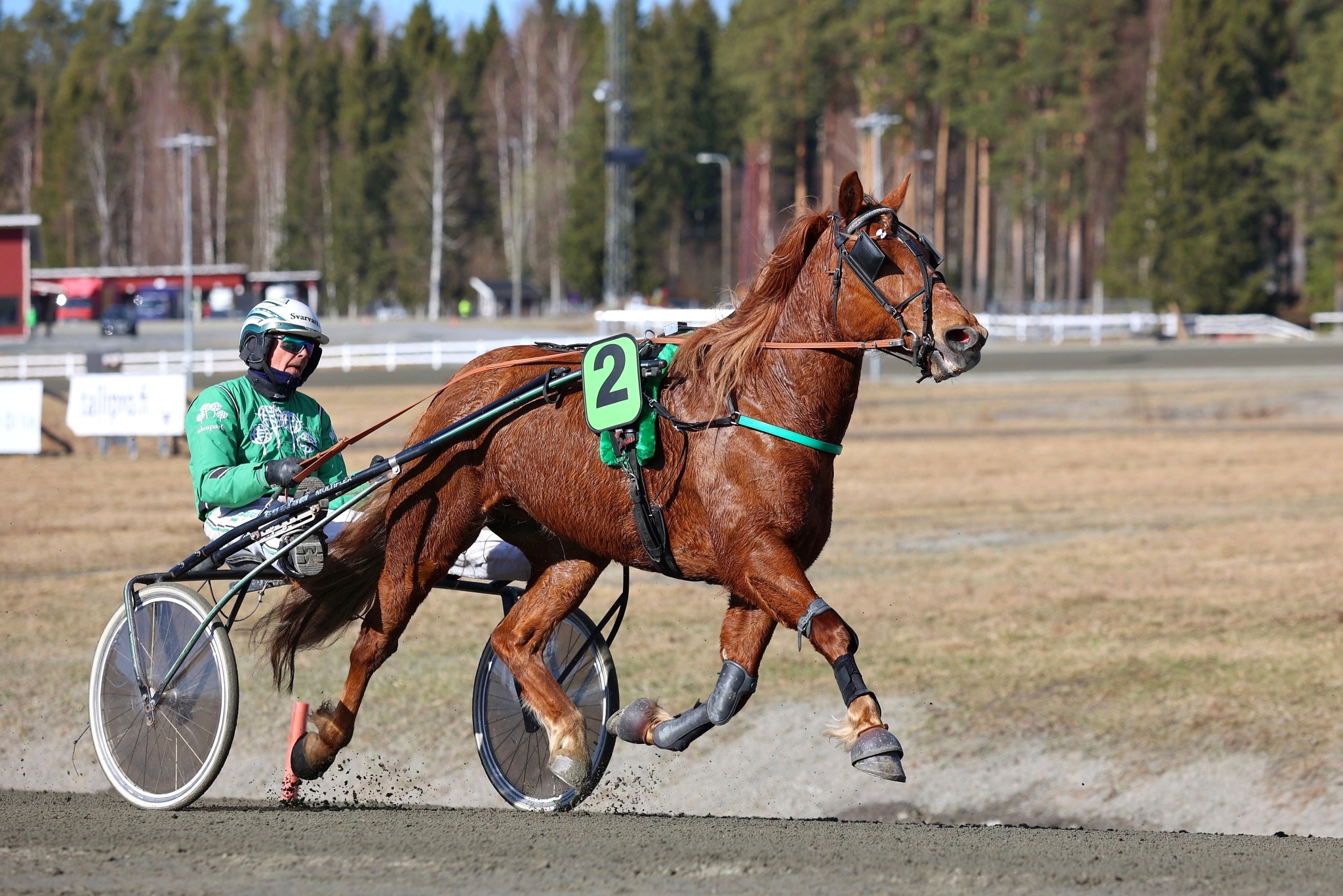 Tuikun Helmi on juossut urallaan 31 starttia ja kerännyt niissä totosijat 7-9-3. Voittosumma on 17 680 euroa ja ennätykset 29,9ake ja 28,0ke. Kuvassa rattailla on Niko Jokela.