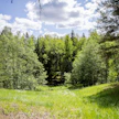 Taajamien kupeessa olevat metsät tulevat helposti kaavan piiriin. Kuvituskuva.