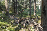 Ympäristötukien jättämistä kannattaa viivyttää kesäkuun puolelle.