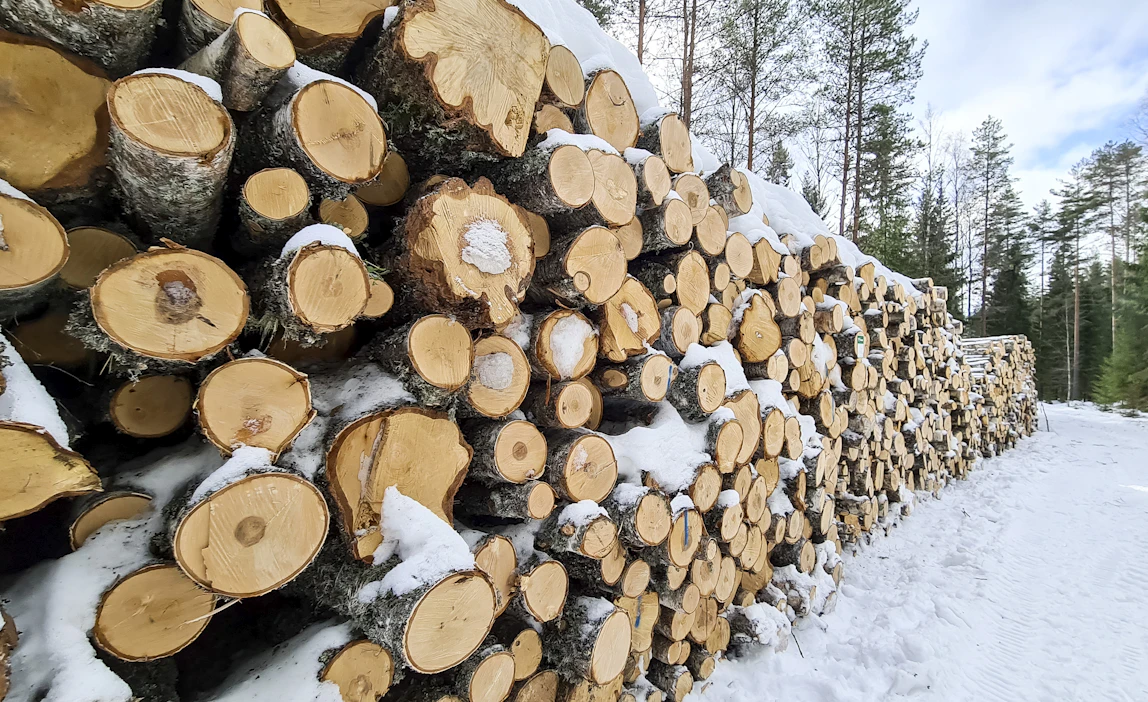 Puukaupassa voi käyttää tukena metsäammattilaista. ”Tämä on hyvin järkevää varsinkin silloin, jos on itse kokematon”, sanoo Tapio Oy:n palvelualueen päällikkö Kalle Vanhatalo.