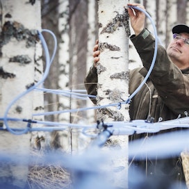 Joensuulaisen Kauko Kärkkäisen suunnitelmissa on moninkertaistaa metsästä saatava tulo luonnontuotteilla.