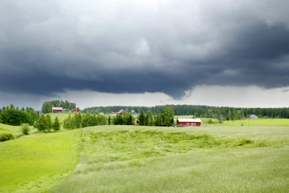 Kesäisille ukkoskuuroille on tyypillistä, että sadealueet ovat teräväreunaisia.