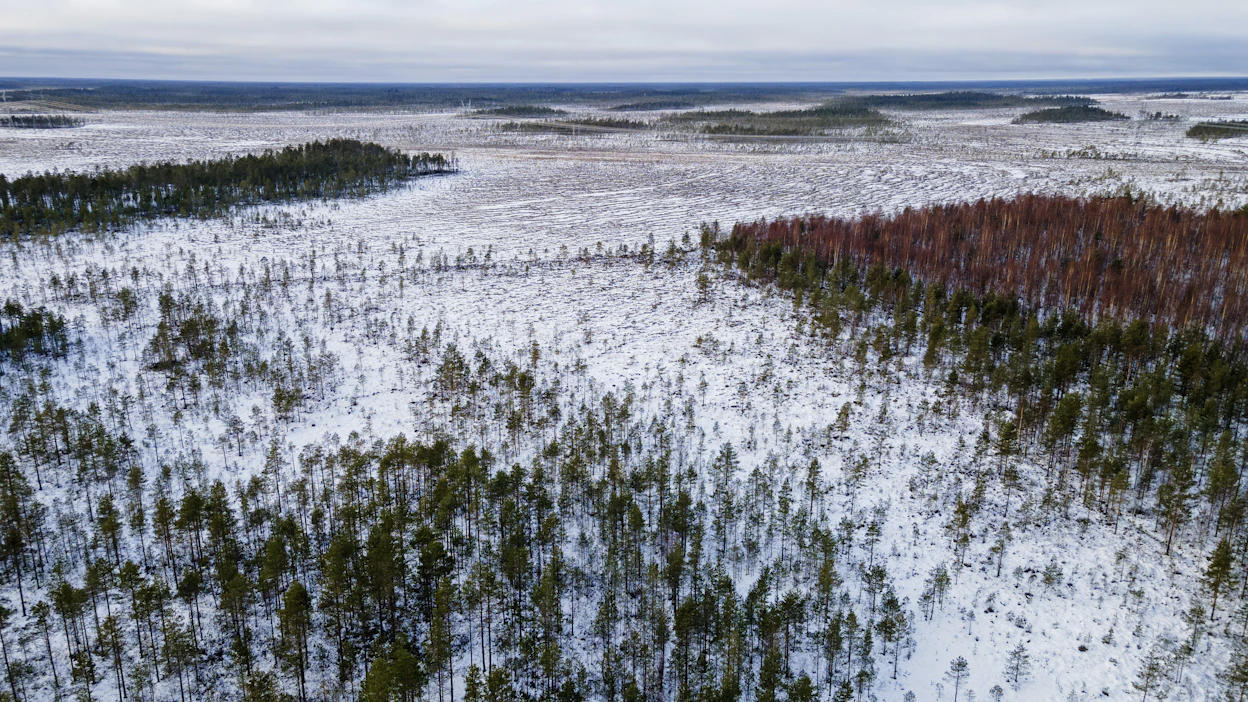 Kirjoittajien mukaan aikanaan keskeistä oli ojittaa vesitaloudeltaan huonot alueet tuottaviksi. Nyt ajattelu pitäisi kääntää toisin päin niin, että tuottavuus tulee vedennostosta. Muhoksen Tupun Isosuo ennallistettiin kolme vuotta sitten.