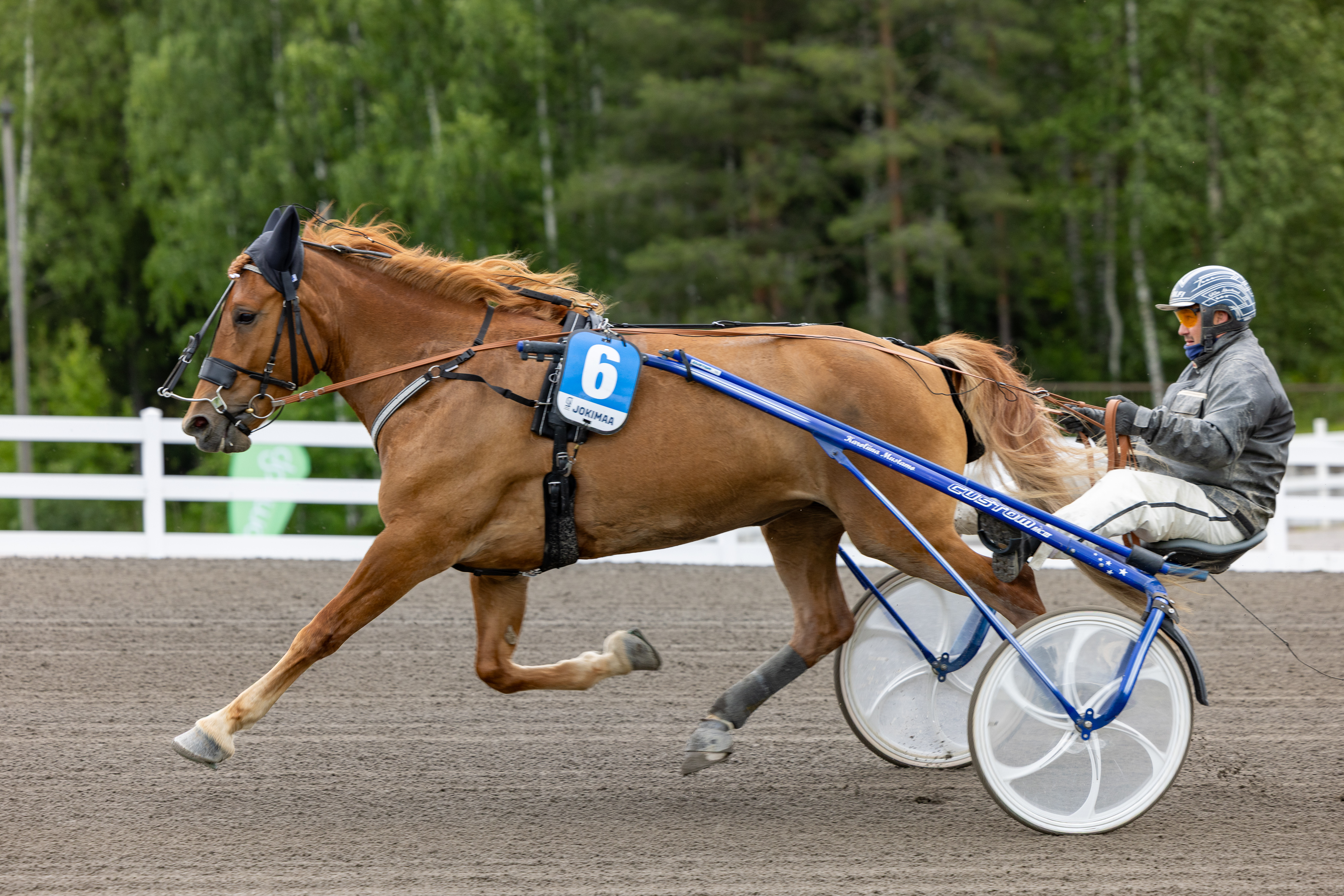 Huipputason suomenhevostamman Huisi Hipun menehtyminen Jämsän raveissa veti ravikansan ilmeet vakaviksi.