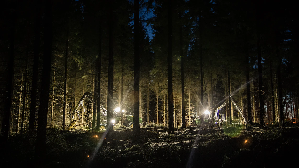 Metsäkeskuksen tarkastusraportti antoi synkän kuvan ensiharvennusten korjuujäljestä.