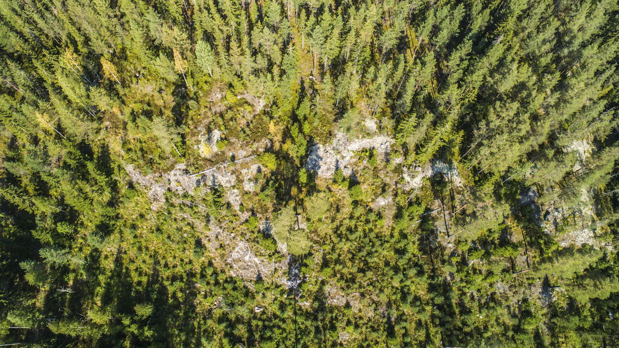 Metsä Groupin suurasiakkaan Finsilvan metsät hoidetaan jatkossa Metsä Group Plus -mallin mukaan.
