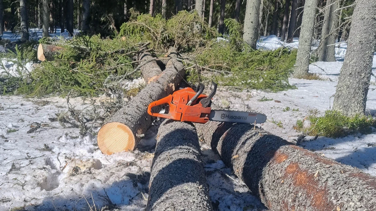 Tukkikokoisen puuston hakkuussa on tukkien oikealla katkonnalla erittäin merkittävä vaikutus siihen, miten runko hyödynnetään mahdollisimman tarkasti tukkiosuudeltaan. Ja tarkkuus tässä tarkoittaa lisäeurojen kertymistä puukauppatilille.