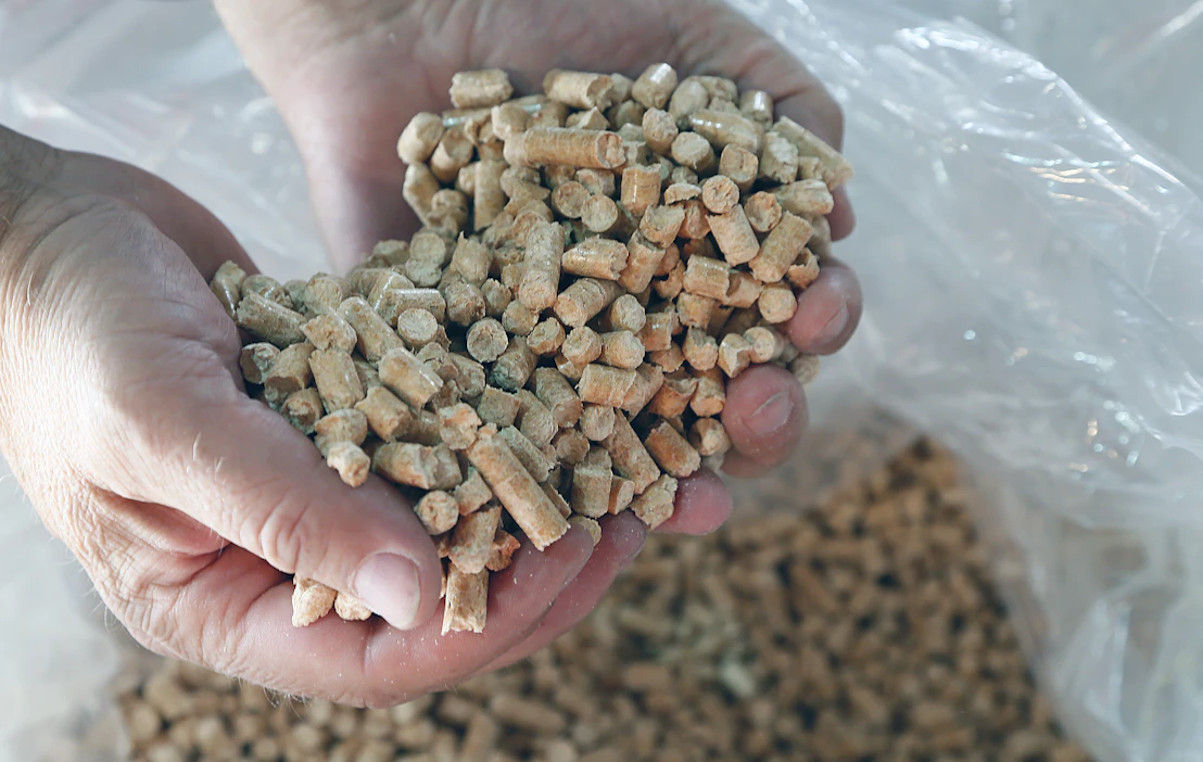 Pelletti on haluttua tavaraa ensi talvena. Kotimaiset tuottajat myyvät pelletin vanhoille asiakkaille. Uudet saavat pellettiä talven mittaan, jos sitä riittää.