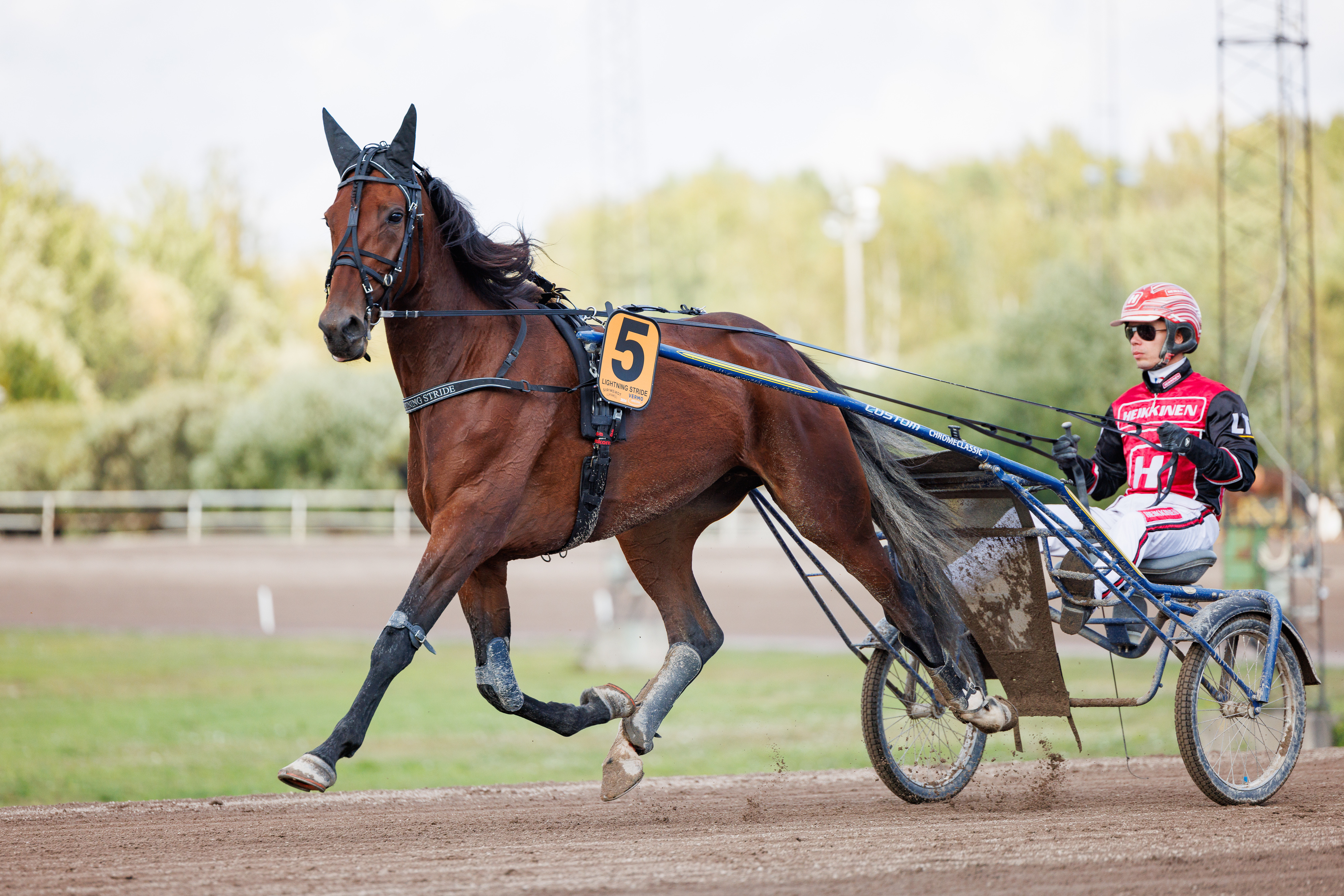 Lightning Stride starttaa suursuosikkina Villinmiehen Tammakilvassa.