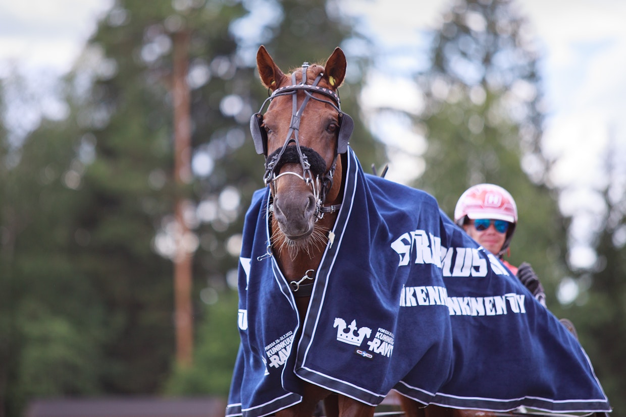 Pihtiputaan kuningaskunnassa juhlitaan perjantaina Evarttia. Kolminkertainen kuningas tarjoaa kakkukahvit ja kamppailee kaviouralla.