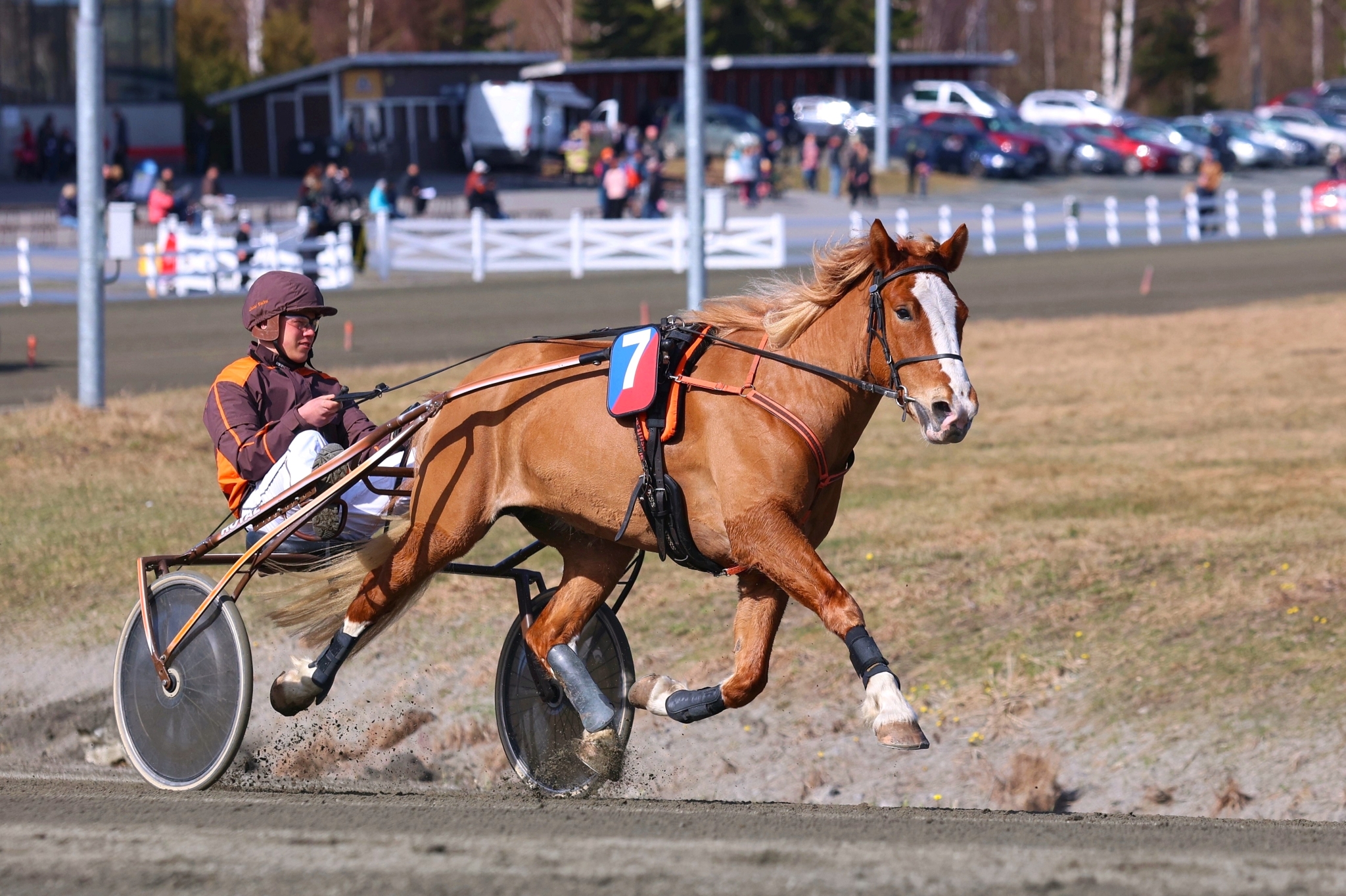 Caramel läpäisi koelähdön Kuopiossa huhtikuussa. Sen jälkeen tamma nappasi voitot Nurmeksen paikallisraveista ja Kuopion totoraveista.