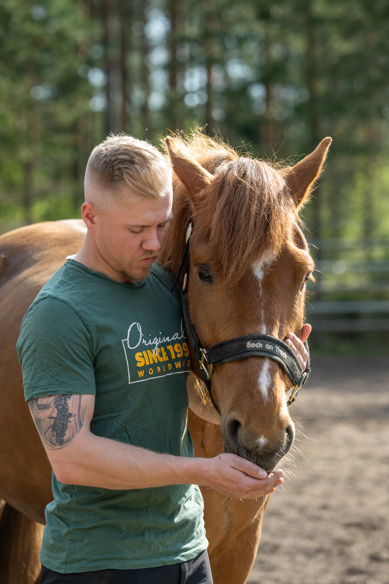 Viljon Vaelluksen riimun teksti sen kertoo: aikanaan poniraveissa menestynyt Tommi Törnvall on palannut kilparadoille.