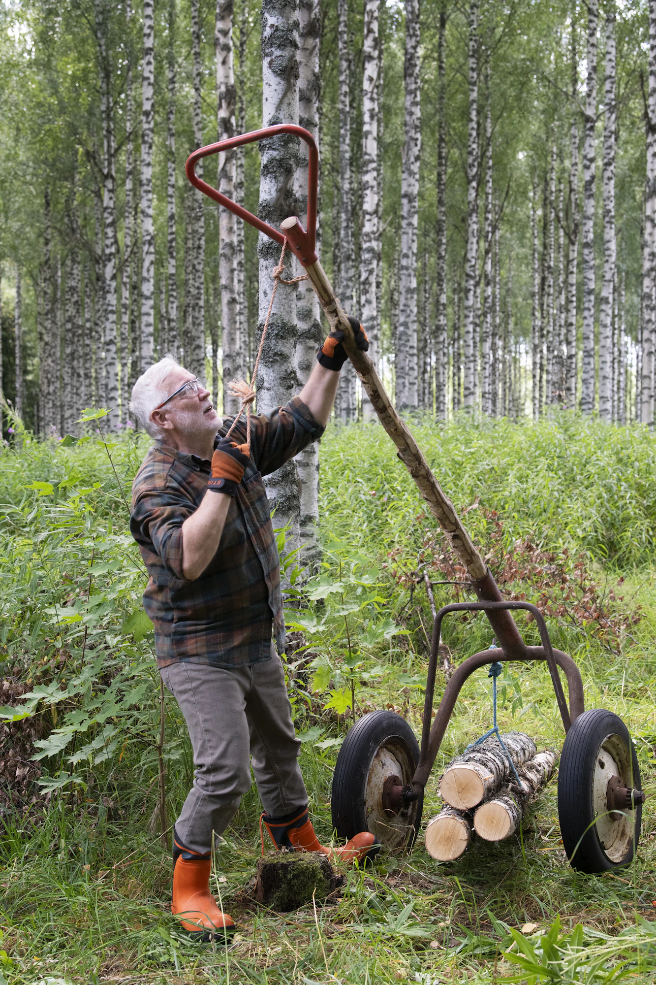 Juontovaunu on omiaan puiden kuljetukseen maissa, joissa koneet ovat kalliita ja härät tarvitaan peltotöihin, Kari Leppänen kertoo.