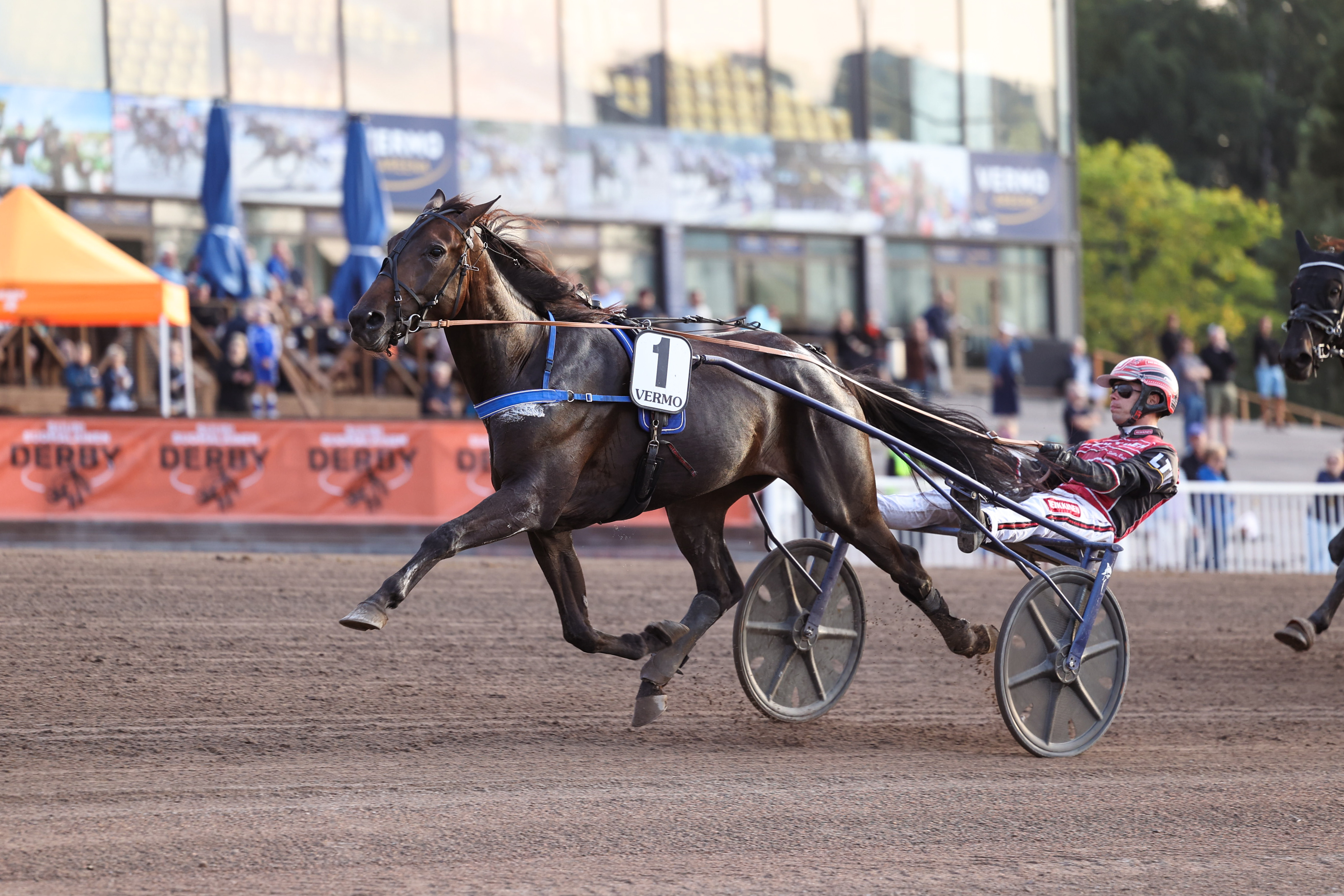 Viimeksi joulukuun alussa kilpaillut Sofia Evo on yksi 75-pelin kolmantena kohteena ajettavan Best Ladyn avainhevosista.