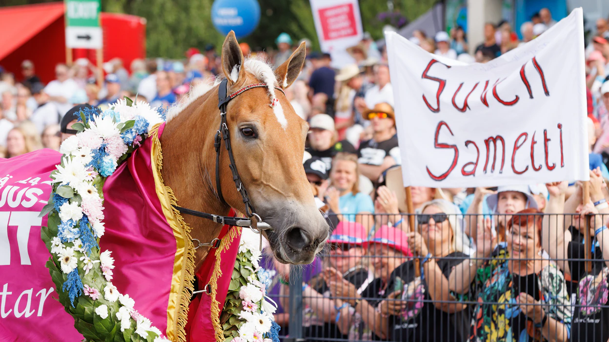 Suven Sametti saavutti kolmannen ravikuningattaren tittelin Jyväskylässä vuonna 2024.