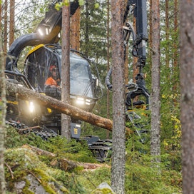 Euroopan metsänomistajajärjestön CEPF:n vuosikokouksen osallistujat retkeilevät huomenna suomalaismetsissä.