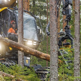 ”Nyt koneyrittäjät saavat hakata jotain puutavaralajia, muttei toista. Siinä on etsiskelemistä, mistä löytyy sopivat työmaat”, kuvailee tilannetta Koneyrittäjät ry:n varatoimitusjohtaja Simo Jaakkola.
