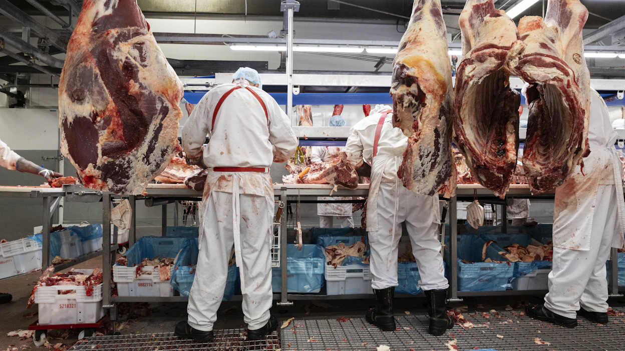 Naudan kulutuksen ennustetaan laskevan 3,5 prosenttia henkilöä kohti EU-alueella.