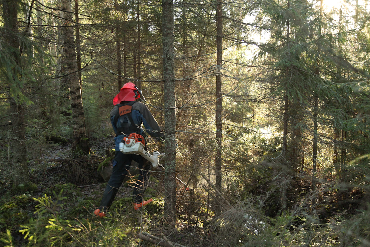 Raivatessa kannattaa pitää silmät auki, jos vastaan tulee sopivia tiheikköjen paikkoja.