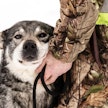 Kolarissa loukkaantuneen eläimen jäljestämiseen tarvitaan koulutettu koira, jonka täytyy pystyä seuraamaan jälkeä haastavissakin olosuhteissa.