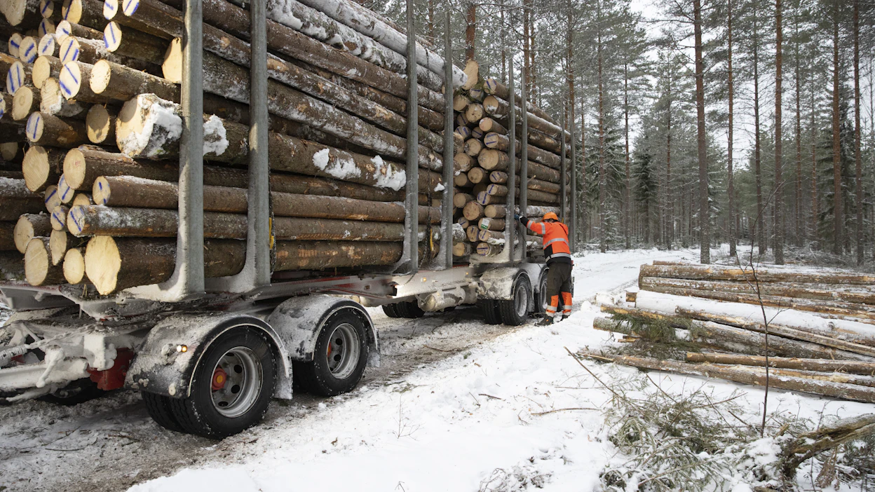 Puukuljetuksia varmuusvarastoihin on lisätty leudon talven takia. Se näkyy terminaalivarastojen täyttymisenä.