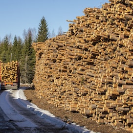 Alkuvuonna puukauppaa on käyty verkkaisemmin kuin kolmena edellisenä vuonna.