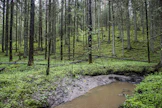 Suojavyöhykkeen jättämiseen voi hakea jatkossa Metka-tukea. Uusilla tuilla halutaan kannustaa maanomistajia vahvistamaan luonnon monimuotoisuutta.