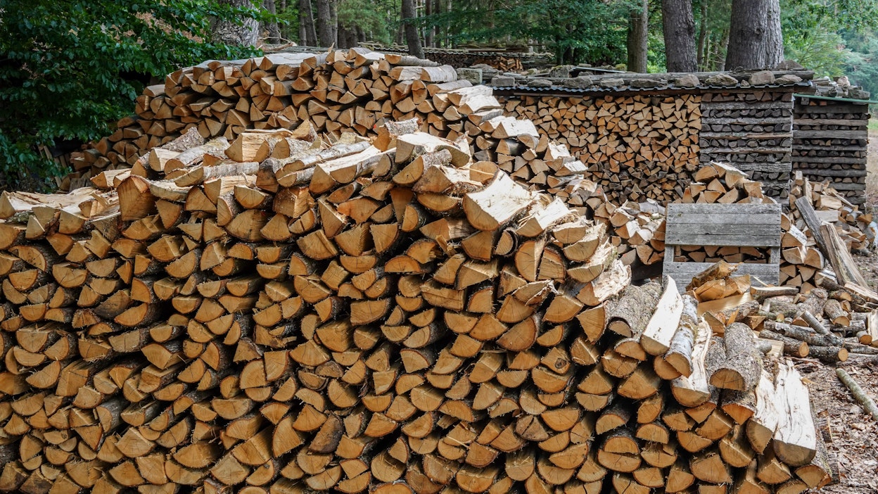 Saksassa miljoona kotitaloutta lämpiää pelkästään puulla. 11 miljoonassa kotitaloudessa osa asuinpinta-alasta on puulämmitteistä.
