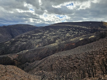 Metsäpalon kärventämää maastoa Espanjassa. Tukalat helleaallot ja kuivuus ovat jokavuotisia, minkä takia maastopalot ovat yleisiä.