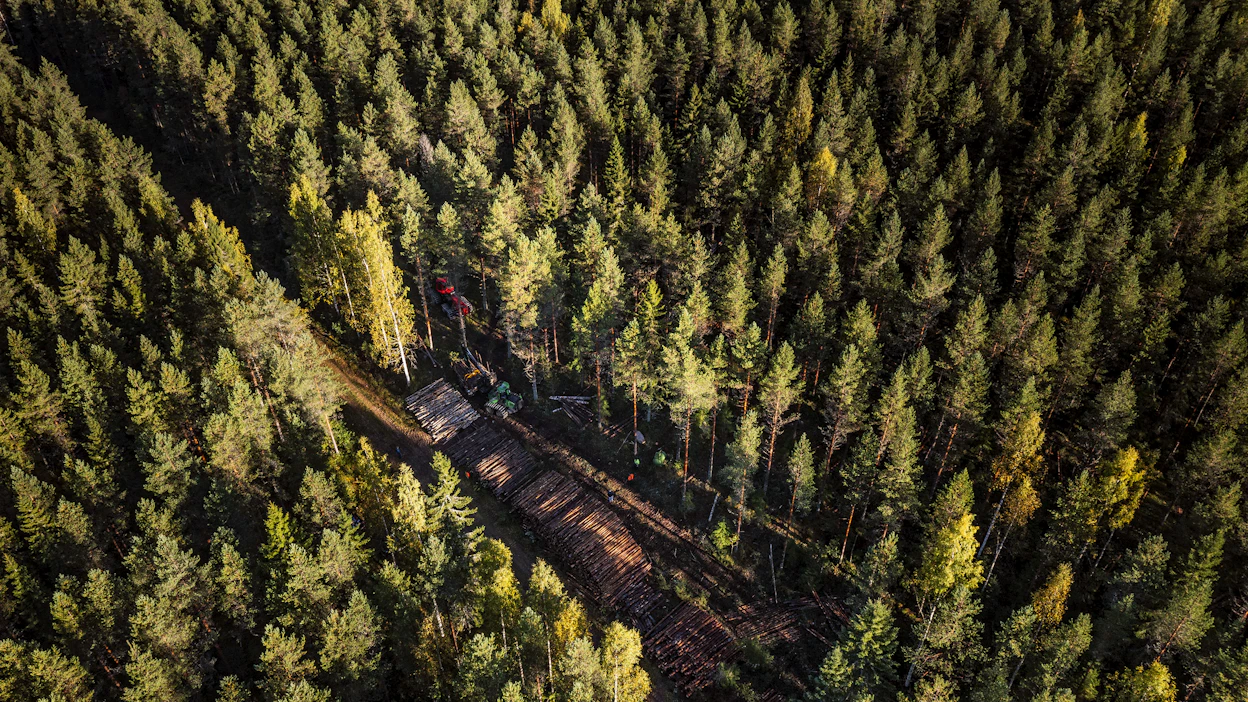 ”Kaikki suomalaisetkaan eivät miellä sitä, että Suomessa on 600 000 yksityismetsänomistajaa”, Mari Ikonen muistuttaa.