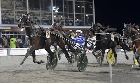 Timo Nurmos sai Brother Billinsä mukaan Elitloppetiin. Ruunan ohjissa nähdään tavalliseen tapaan Jorma Kontio.
