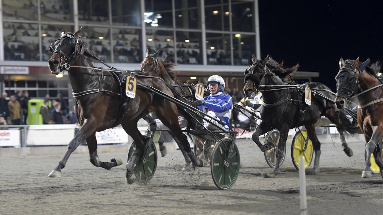 Timo Nurmos sai Brother Billinsä mukaan Elitloppetiin. Ruunan ohjissa nähdään tavalliseen tapaan Jorma Kontio.