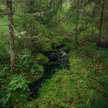 Metsänomistaja voi saada tukea virtavesien varrelle jätettäviä suojavyöhykkeitä varten.