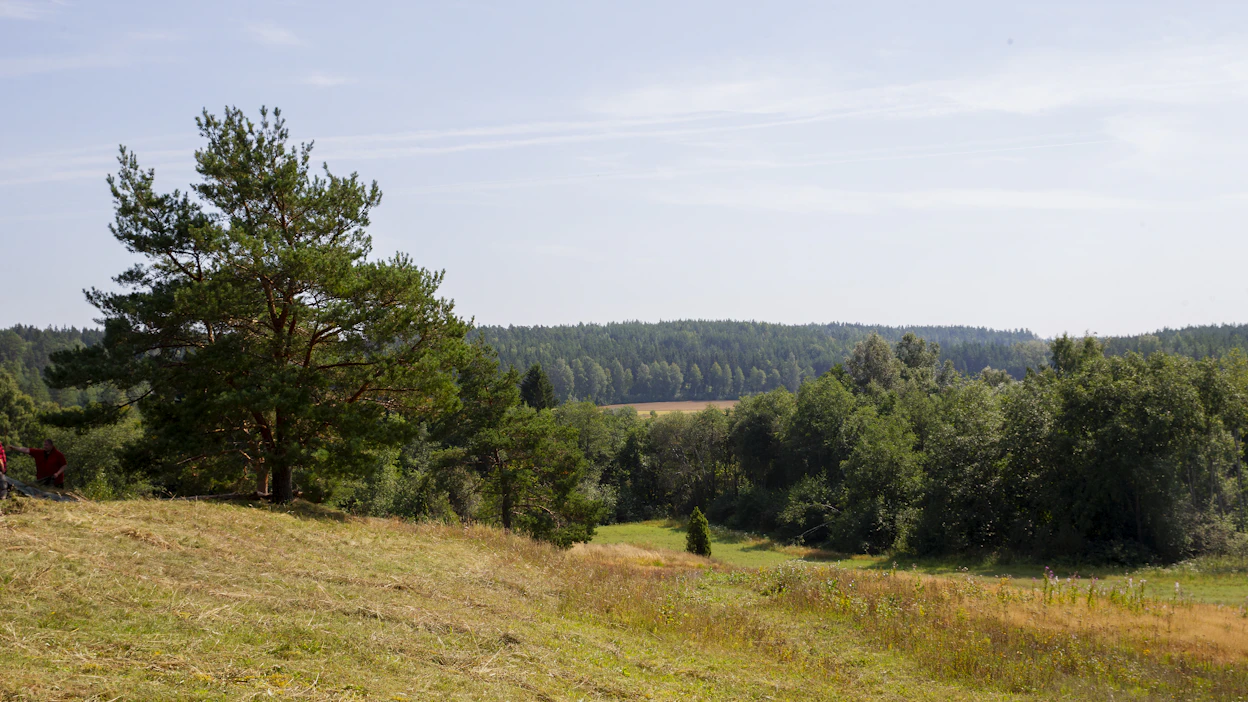 Karjanlaidunnuksen ansiosta avoimina pysyneet perinnebiotoopit kasvavat helposti umpeen ja metsittyvät, ellei niitä hoideta.