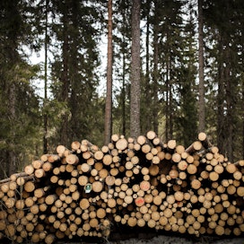 Metsälain kokonaisuudistamisesta 2010-luvun alussa vastanneen Juha Ojalan mielestä  nykyisen metsälain tavoitteet ovat toteutuneet varsin hyvä. Lakia uudistettaessa alan tulevaisuudenäkymät olivat synkät.