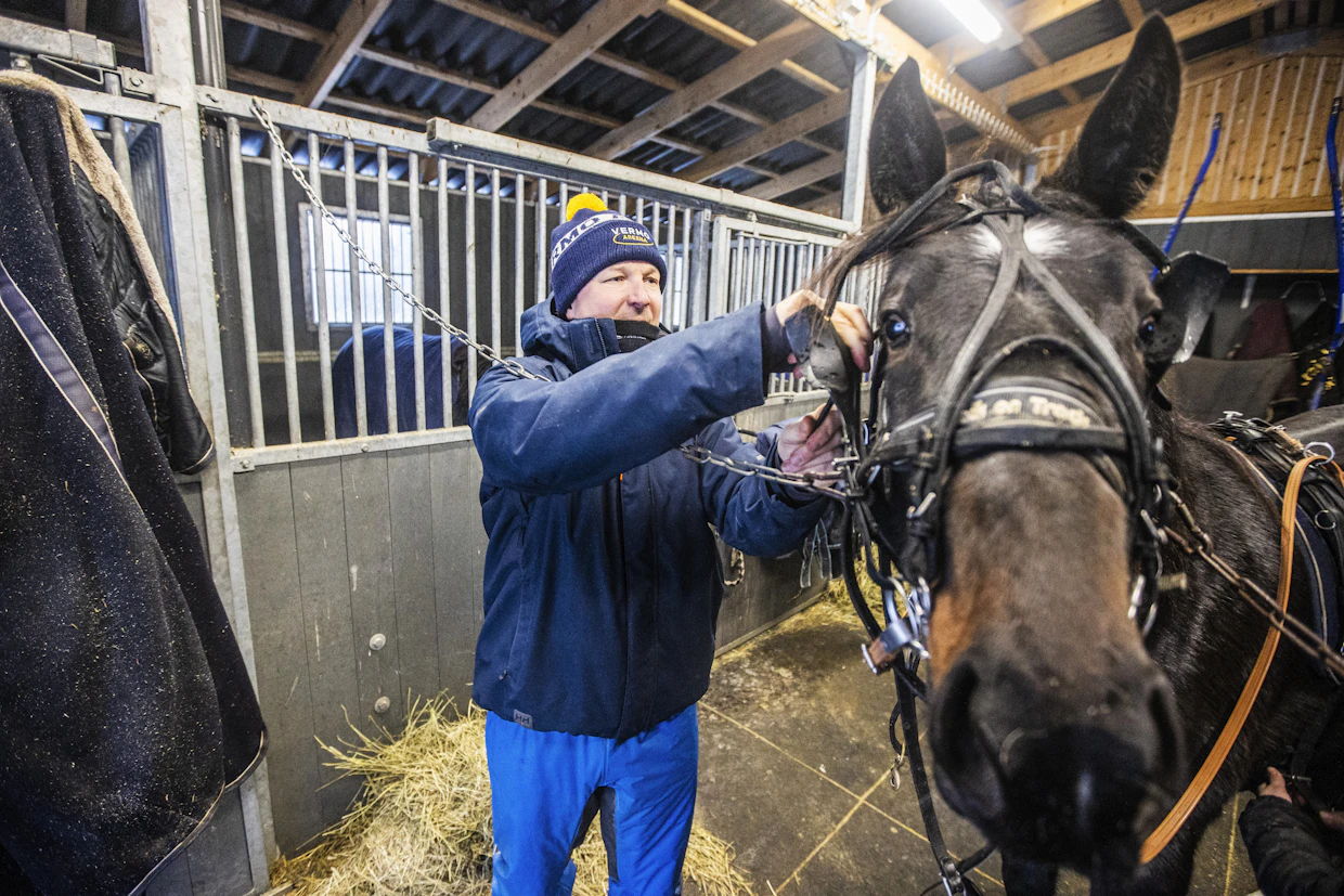 Hannu-Pekka Korven tilat ovat Pekka Korven tallin naapurissa. Uusin osa on kuuden hevosen yksikkö, mutta enempää talleja nykytiloihin ei enää tahdo mahtua.