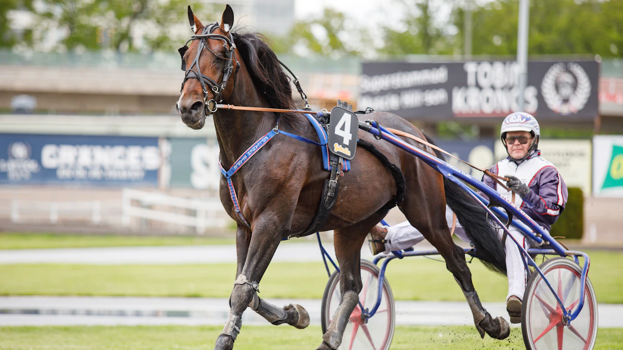 Elitloppet-perjantaina startannut Kalle Taxam on sijoittunut lähes puolessa uransa 39 startissa kolmen parhaan joukkoon. Rauno Pölläsellä on hevosesta kovat odotukset.
