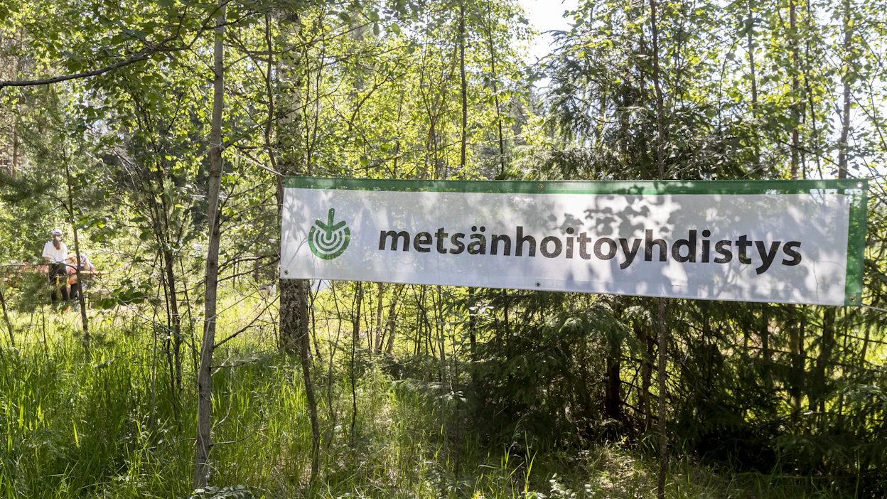 Ehdotuksia ansioituneista metsänhoitoyhdistyksistä voi jättää 22. syyskuuta saakka.