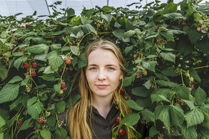 Tunnelivadelma ja -mansikka ovat tehneet ensimmäisenä vuonna hyvän sadon Vanha-Puntilan tilalla. Hanna Puntila kertoo, että marjoista tuli kertaheitolla iso ja työllistävä tuote tilalla. 
