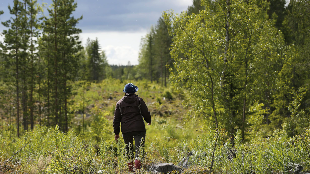 Uusista metsänomistajista etenkin naiset hakeutuvat innokkaasti koulutuksiin ja keräävät tietoa.