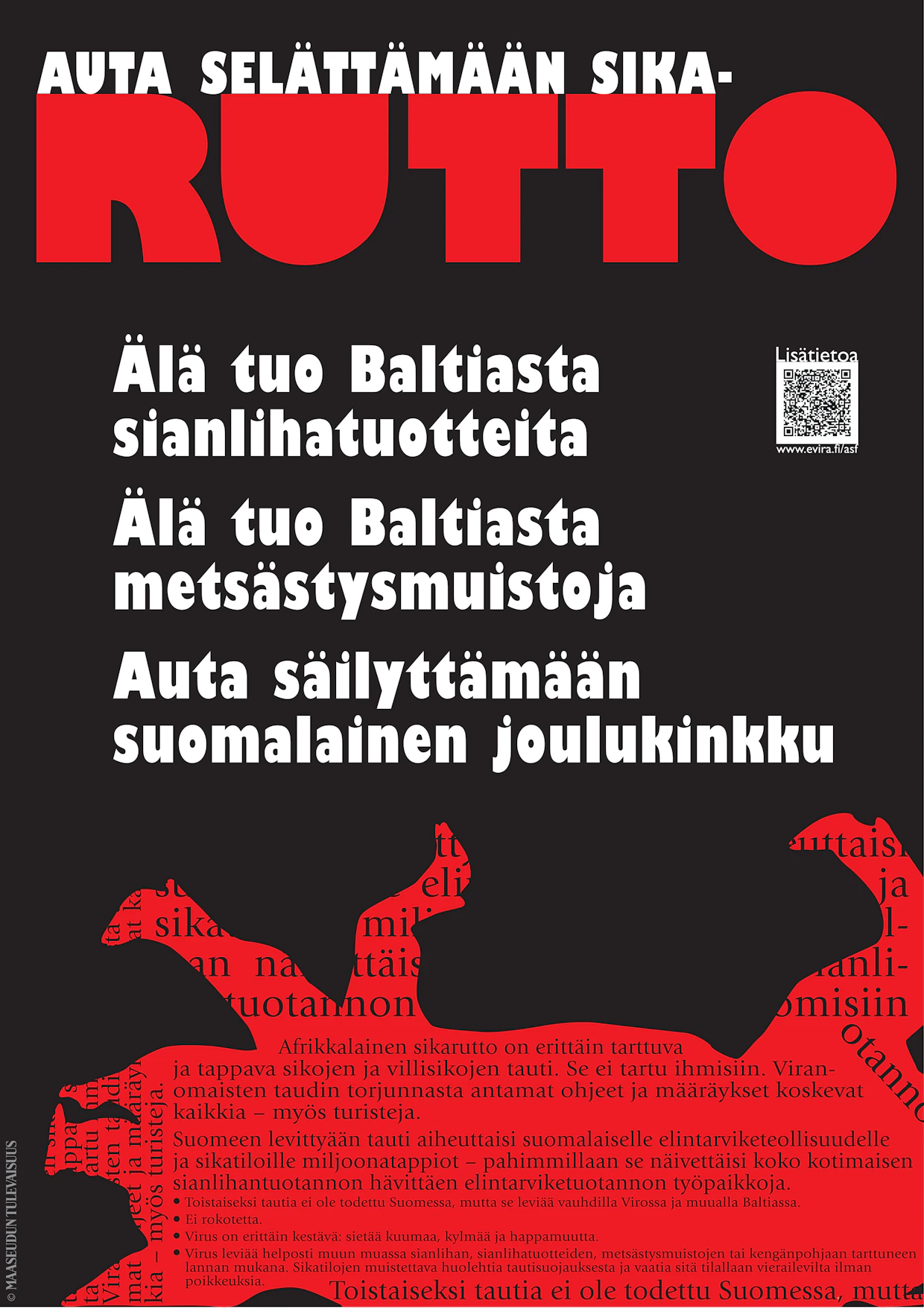 Vuonna 2015 MT:n toimituksessa laadittiin afrikkalaisesta sikarutosta varoittava juliste. Tarkoitus oli selvittää, miten nopeasti varoittavan julisteen saa tehtyä.