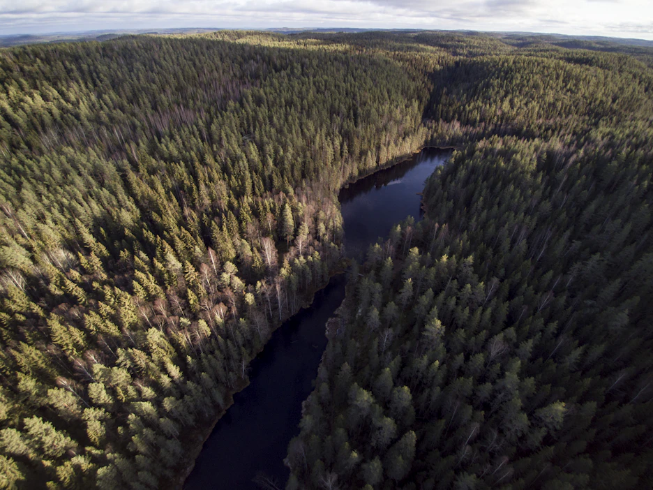 Tandem-L:llä emme katso tähtitaivaan ulkoisia laitoja, vaan omaa sinistä, valkoista ja vihreää kotiamme.