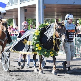 Nordic King Evartti lähtee Suur-Hollolan finaaliin jälleen takarivistä, sillä taaemmassa voltissa on peräti yhdeksän hevosta.