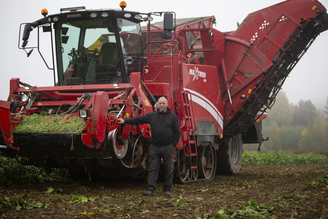 Grimme Maxtron -nostokone ahkeroi Jukka Mäkisen sokerijuurikaspellolla tiistaina. Kone nostaa kuusi riviä kerrallaan