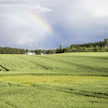 Keskeisiä strategisia tavoitteita ovat kannattavuus ja reiluus, huoltovarmuus, luonnon kantokyky sekä ruokakulttuuri ja hyvinvointi.
