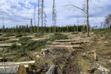 Maatalousmaan, metsätalouden ja muun maankäytön sisältävä maankäyttösektori on aiemmin ollut Suomessa merkittävä nettonielu, mutta ennakkotietojen mukaan sektori tuotti vuonna 2021 enemmän päästöjä kuin sitoi. Arkistokuva. LEHTIKUVA / Markku Ulander.
