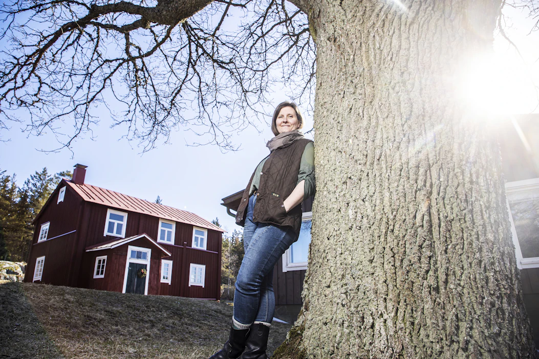 Tammisaaressa Tarja Lahtinen kunnostaa miesystävänsä kanssa tämän kotitilan 1700-luvun lopulta peräisin olevaa päärakennusta. Pihatammi on istutettu 1912.
