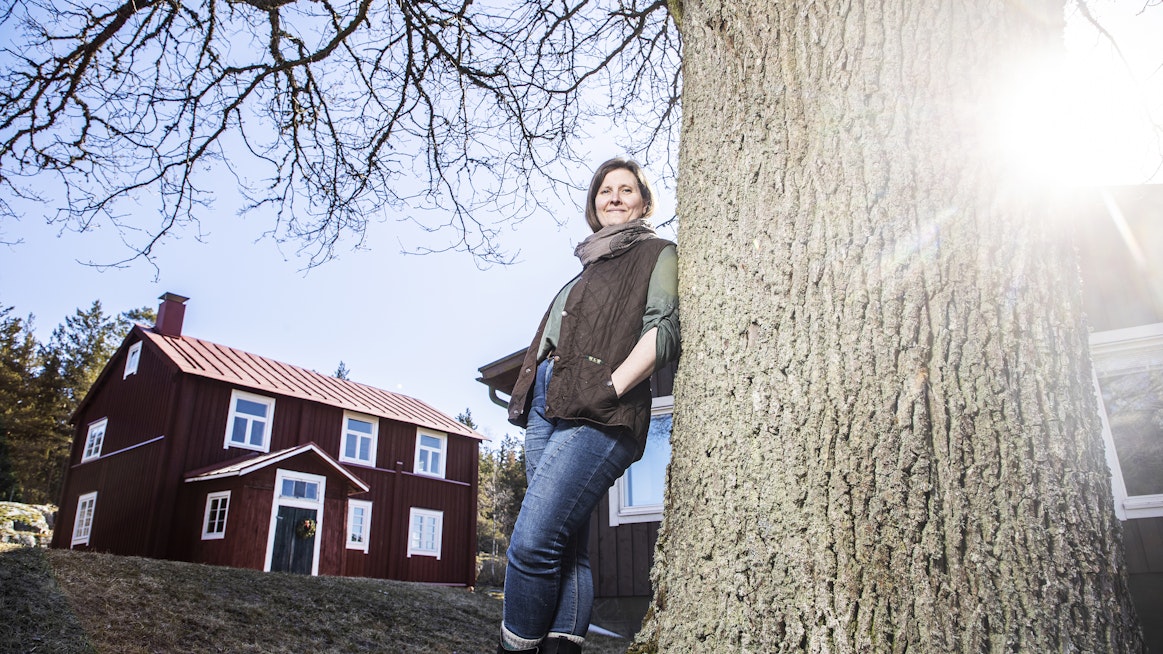 Tammisaaressa Tarja Lahtinen kunnostaa miesystävänsä kanssa tämän kotitilan 1700-luvun lopulta peräisin olevaa päärakennusta. Pihatammi on istutettu 1912.
