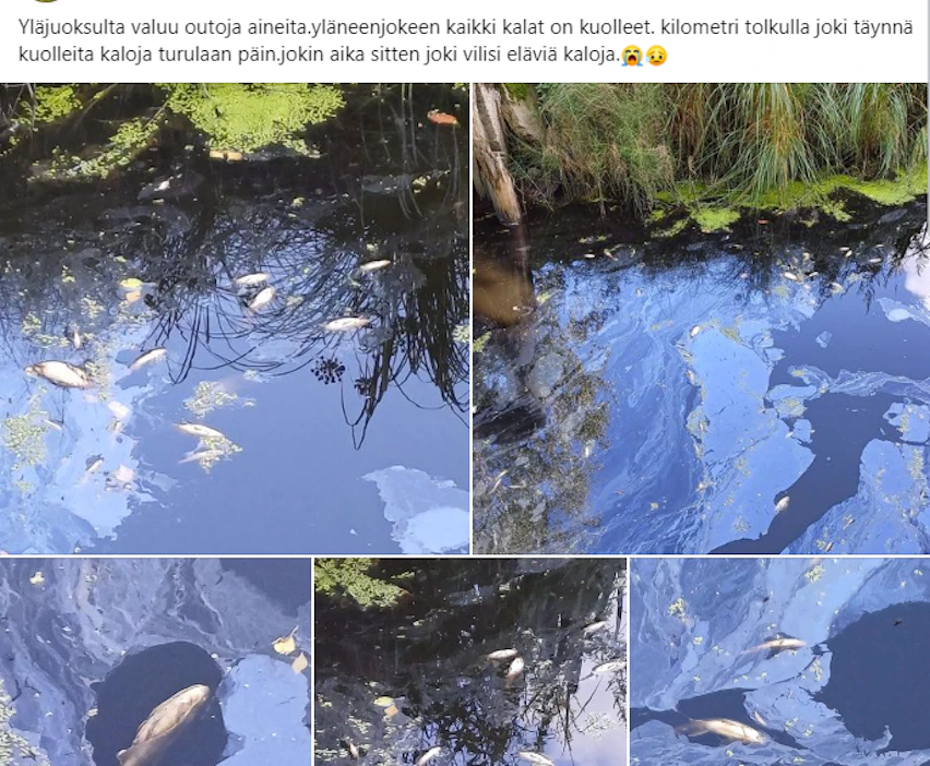 Kuvakaappaus Facebookin Yläne-ryhmästä.