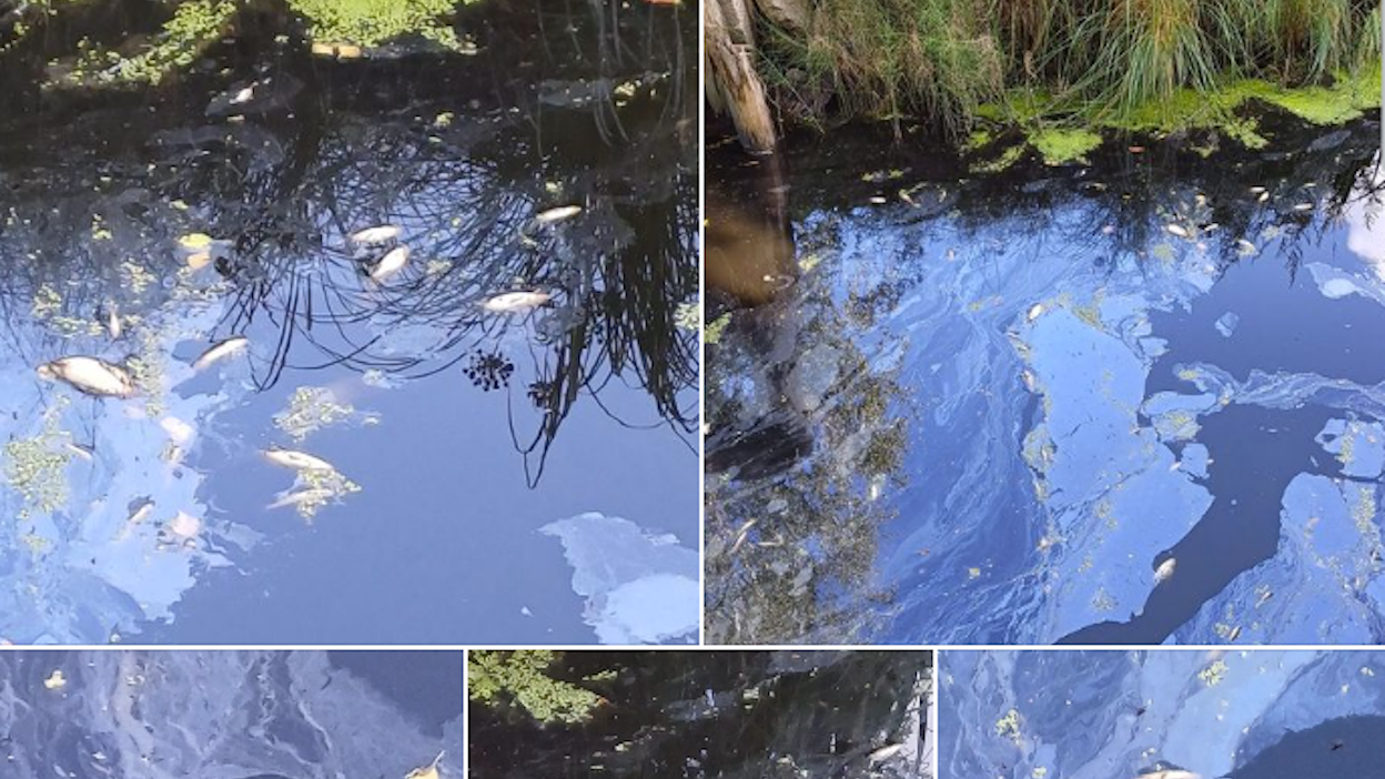 Kuvakaappaus Facebookin Yläne-ryhmästä.